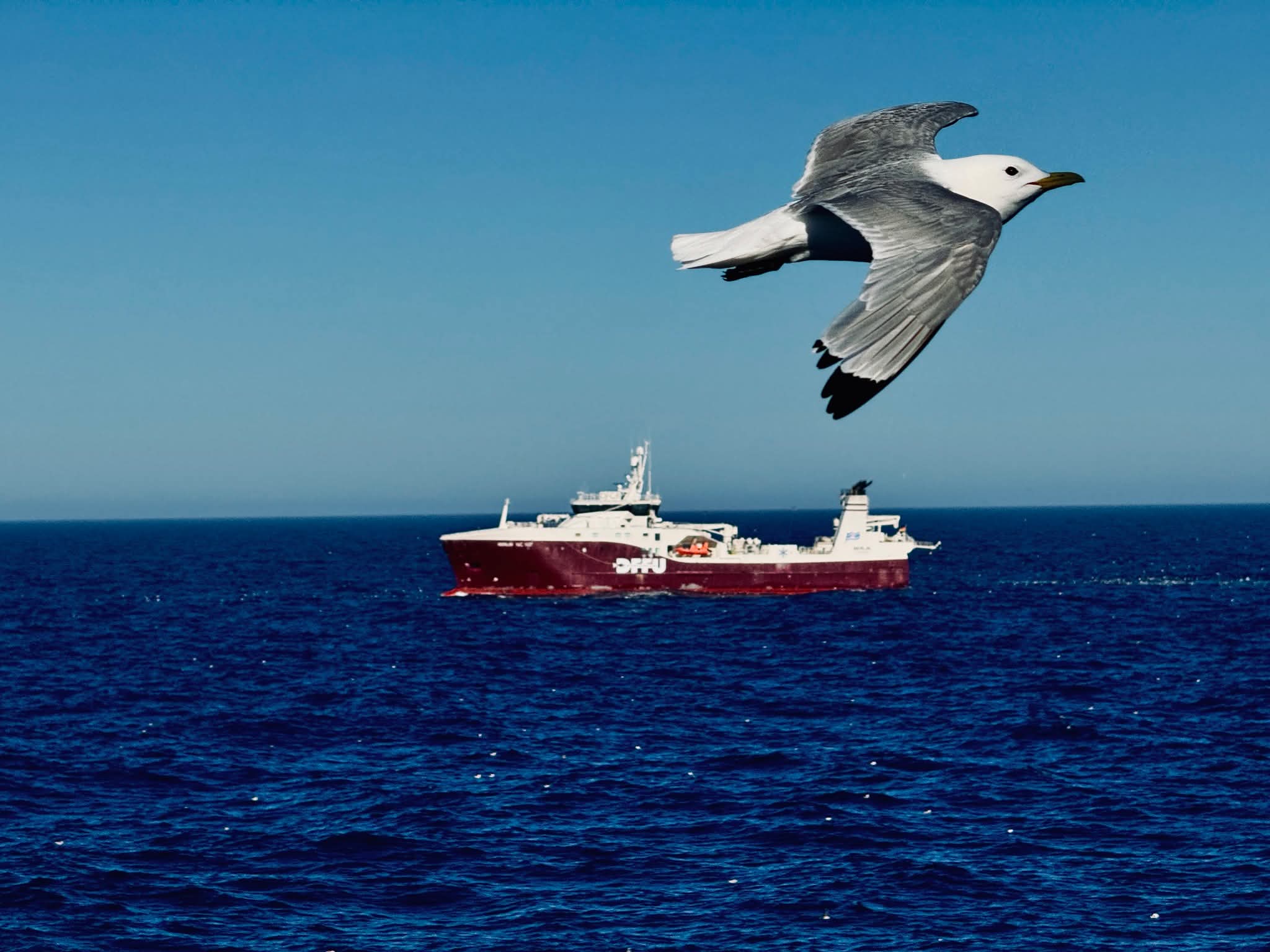 Berlin NC finishes a successful season in the Barents Sea after landing in Tromsø